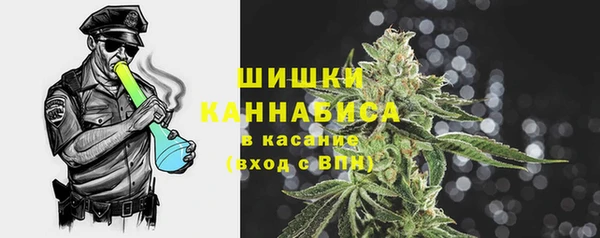трава Магас