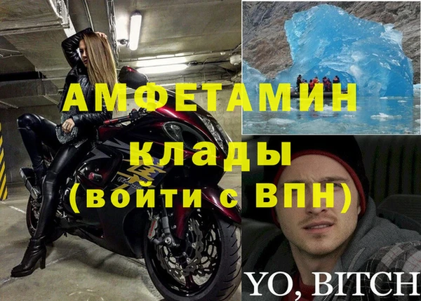 трава Магас