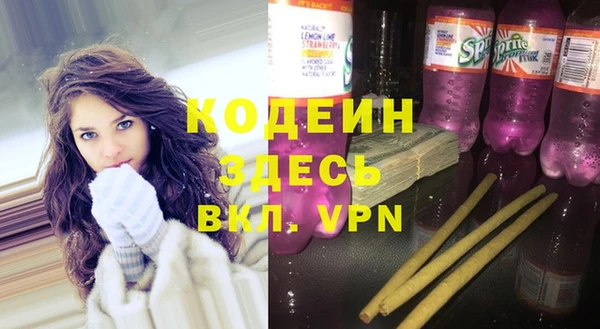 крисы Киренск
