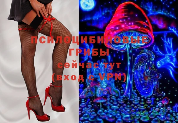 трава Магас