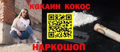 дмт Гай