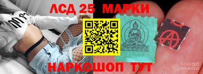 дмт Гай