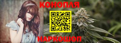 дмт Гай