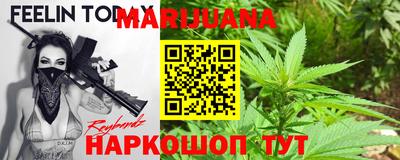 дмт Гай