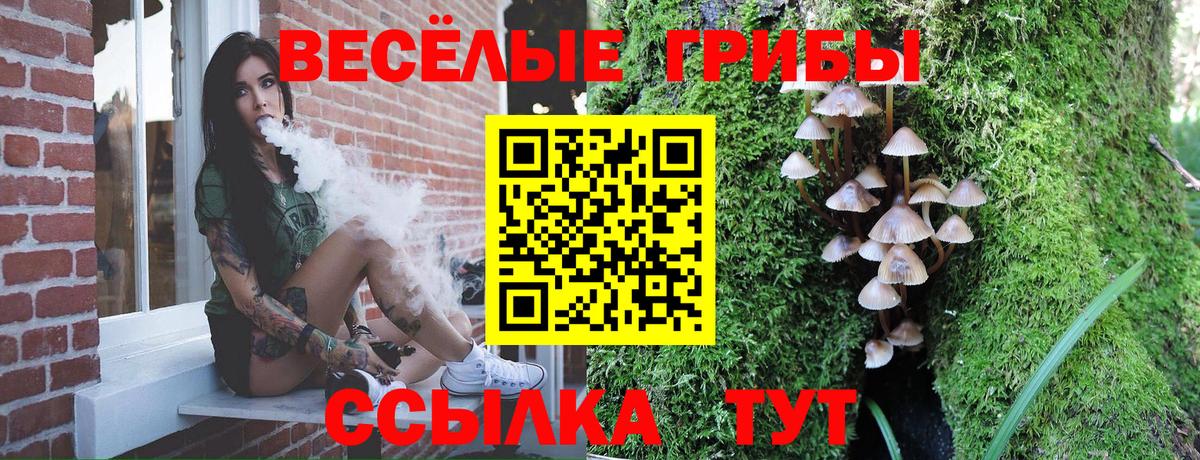 Псилоцибиновые грибы мухоморы Комсомольск-на-Амуре